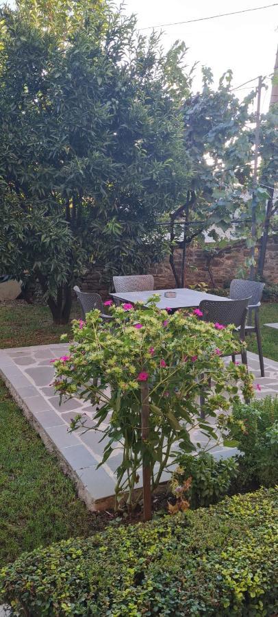 Garden Guest House Përmet Esterno foto