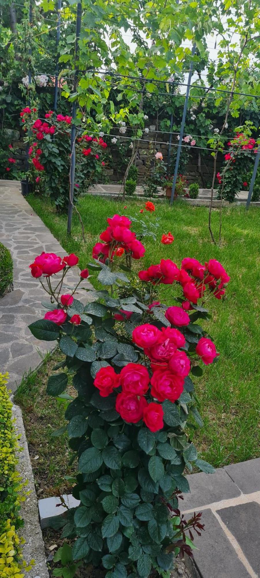 Garden Guest House Përmet Esterno foto